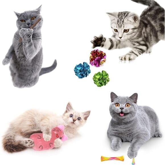 34Pcs Cat Toys Kitten Toys, Interactive Kitty Toys with Collapsible Cat Toys - Picture 4 of 5